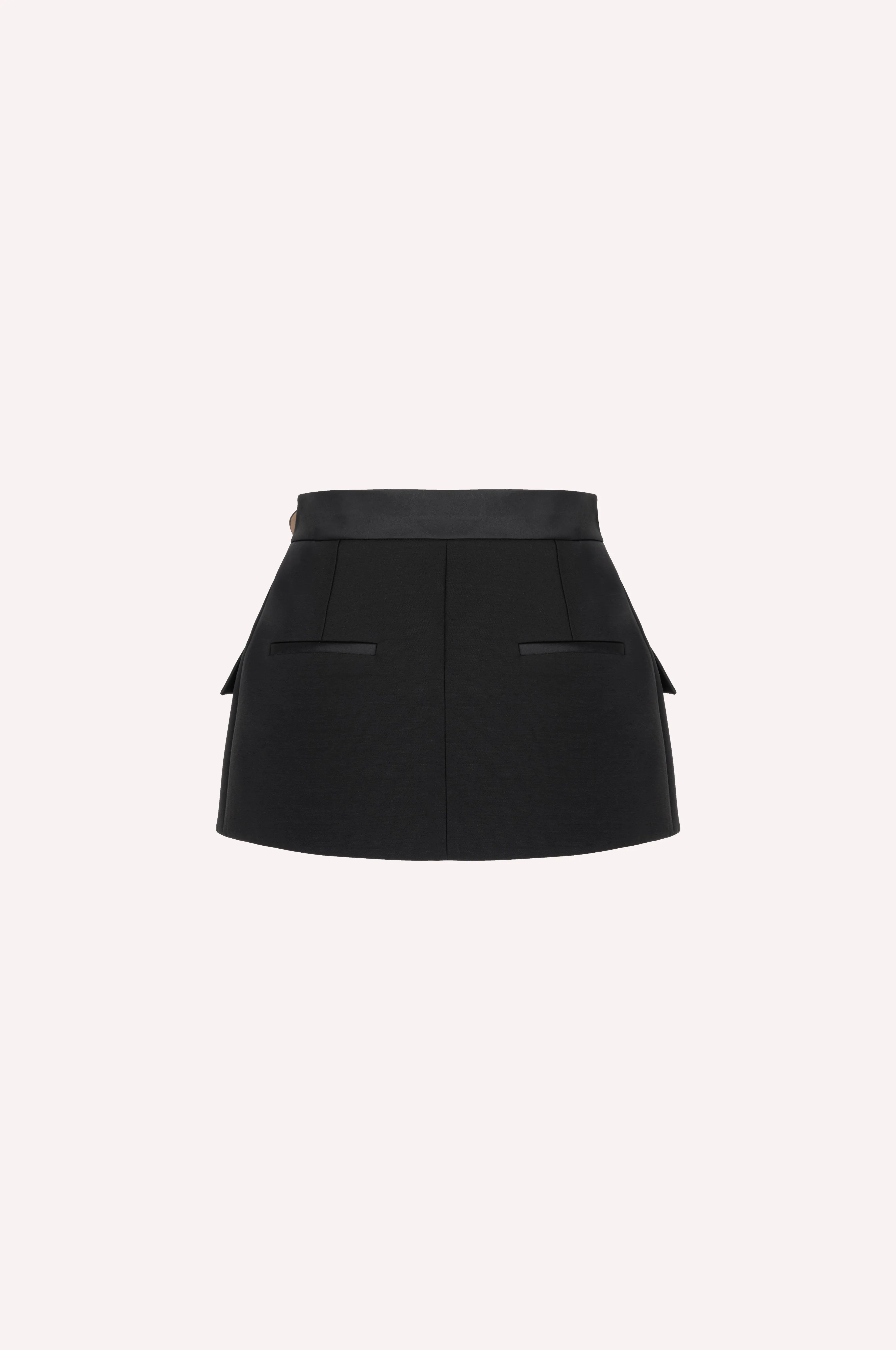 Skirt Belt